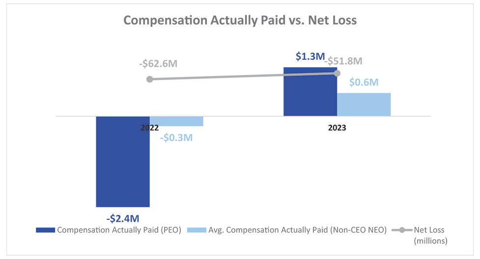 [MISSING IMAGE: bc_paidvsnetloss-4c.jpg]